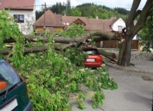 Kwikfynd Tree Cutting Services
northtamborine